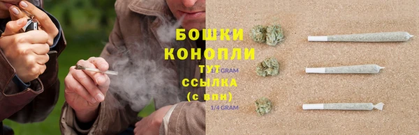 метадон Вяземский