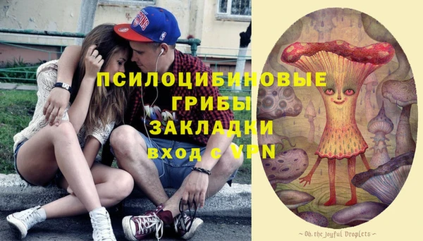 мескалин Вязники